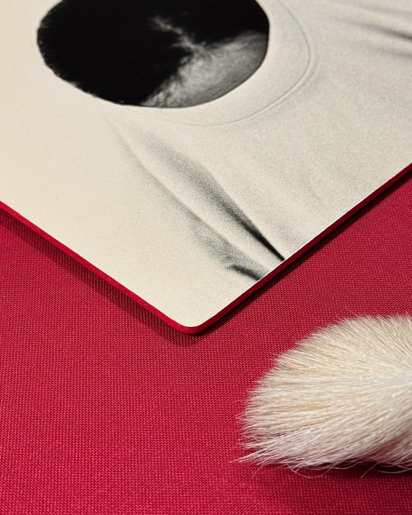 Red frame - Untitled (shirt)