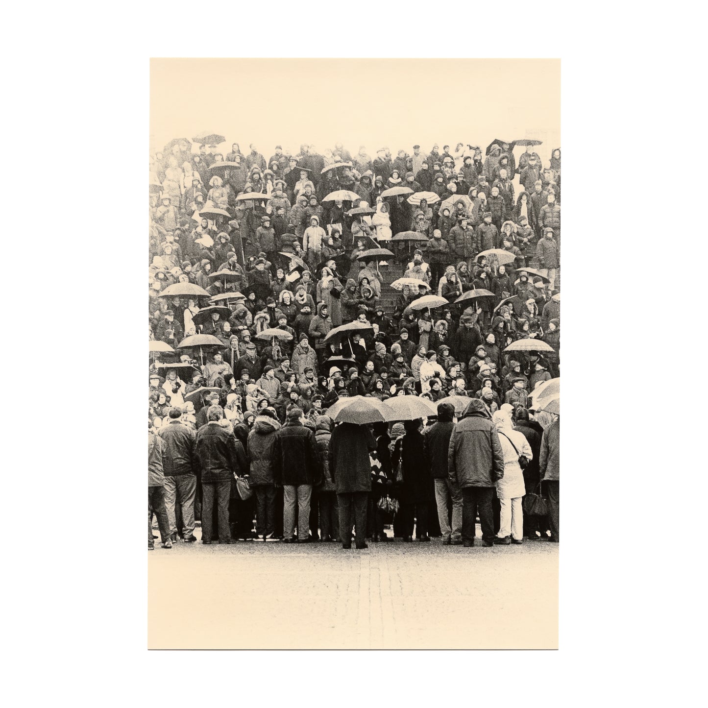Untitled (crowd)