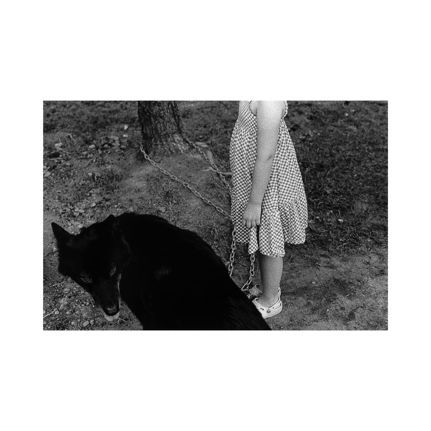 Untitled (girl and wolfdog)