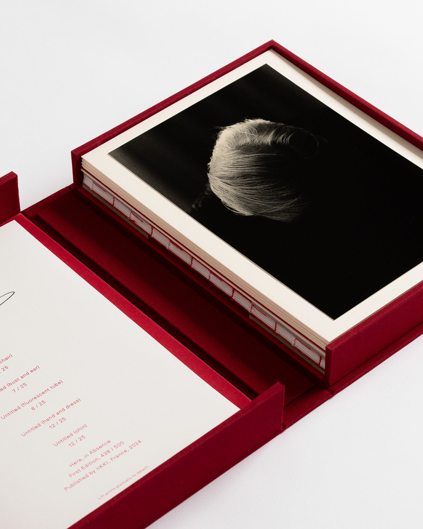 Here, in Absence - Portfolio Edition