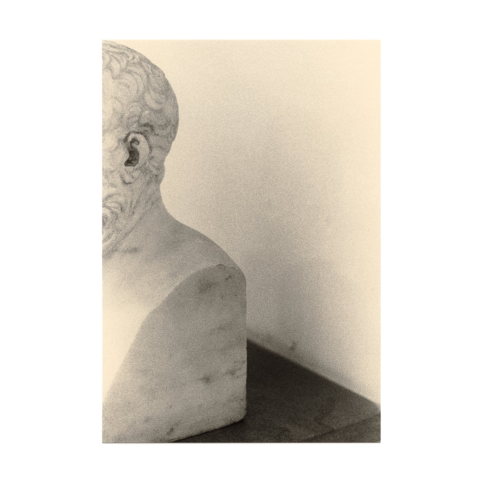 Untitled (bust and ear)