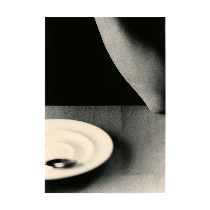 Untitled (elbow and plate)