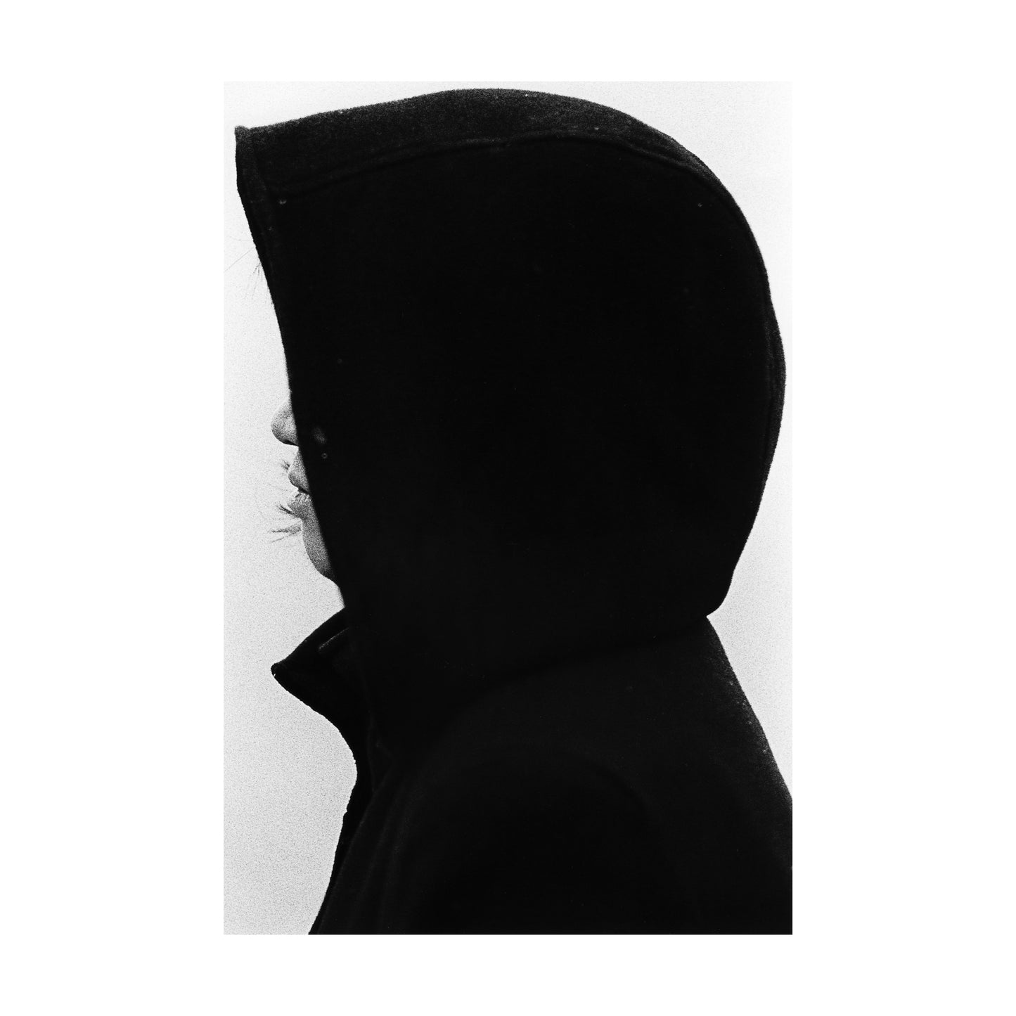 Untitled (hood)